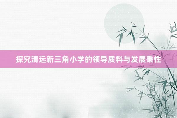 探究清远新三角小学的领导质料与发展秉性