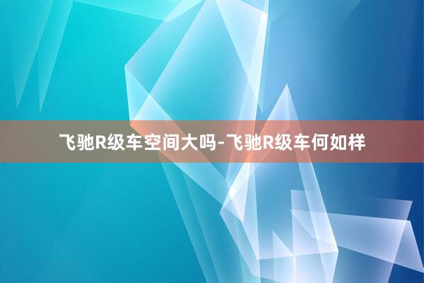 飞驰R级车空间大吗-飞驰R级车何如样