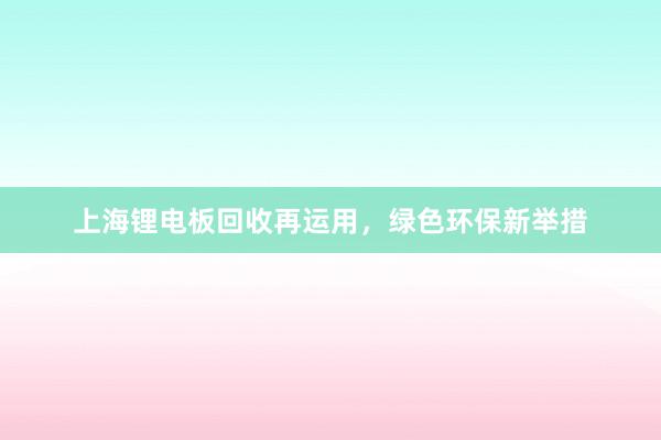 上海锂电板回收再运用，绿色环保新举措