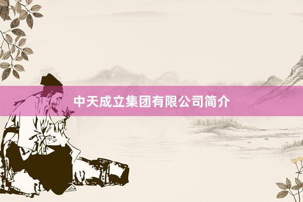 中天成立集团有限公司简介