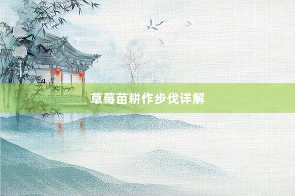 草莓苗耕作步伐详解